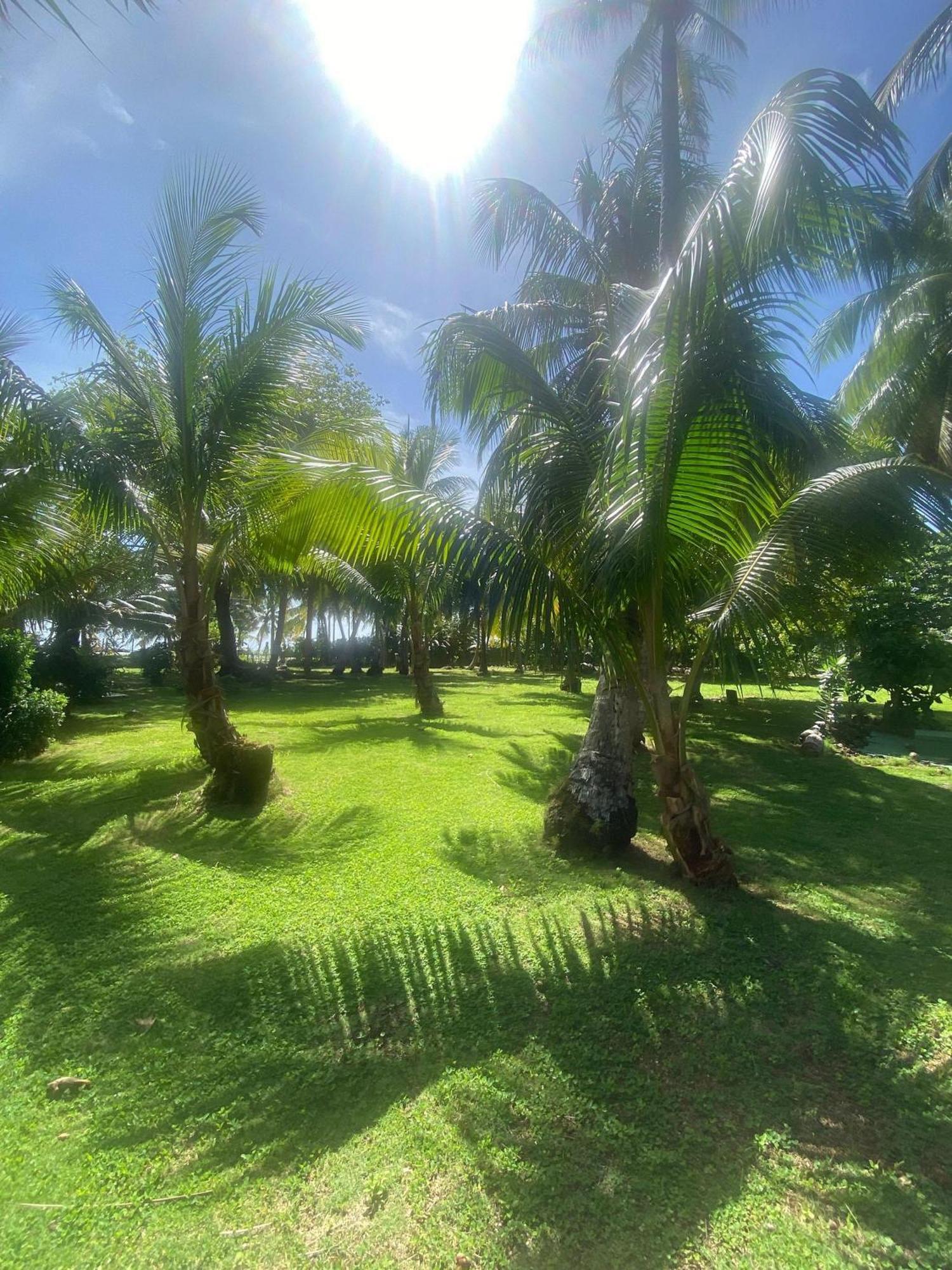 South End Villas - Apartamentos Paradisiaco En El Caribe Colombiano Сан-Андрес Экстерьер фото